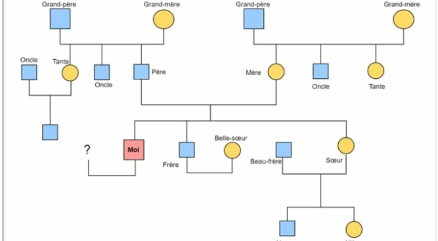 Qu'est ce qu'un génogramme, l'outil systémique ? - Epsilon Mélia